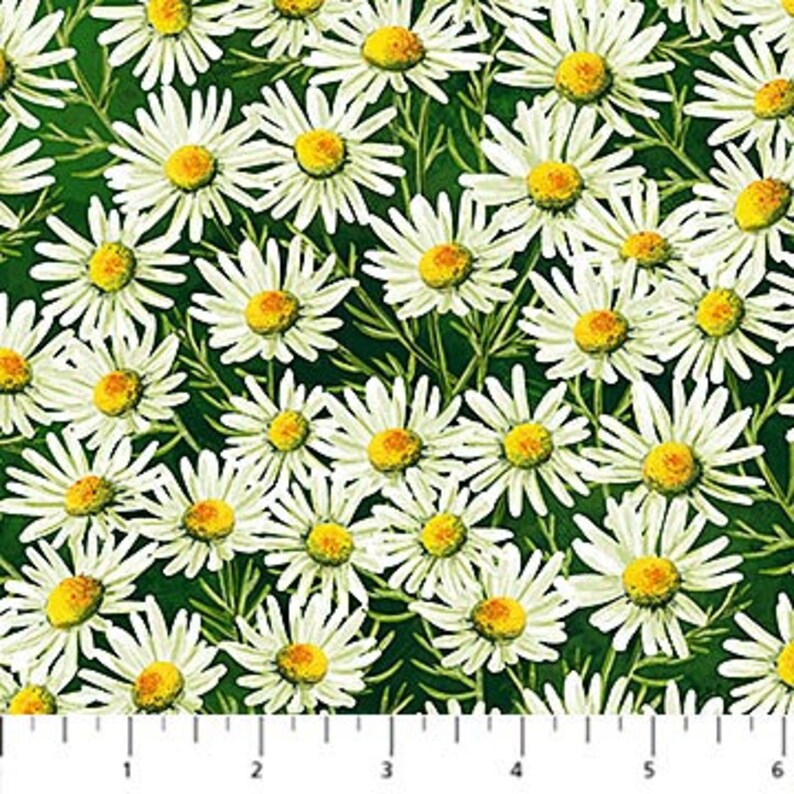 Sunshine Harvest White Daisies in Dark Green