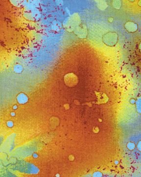 Fossil Fern Orange Lagoon Fabric