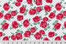 Quilting Cuddle - Cottage Rose Lane - Briar - Snow - Yardage