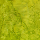 12th Street Batiks AM57 Yardage
