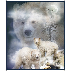 Arctic Dreams Polar Bear 36" Panel