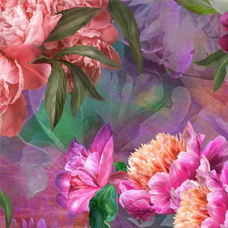 Peony Romance Large Peonies Purple Yardage
