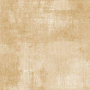 Dry Brush Cookie