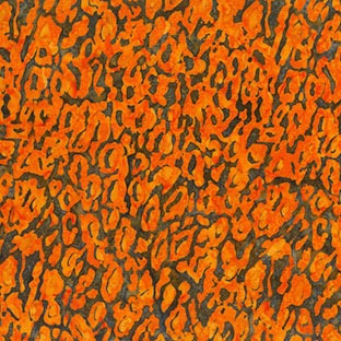On The Wild Side Lots of Spots Wild Orange Yardage