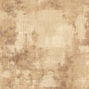 Dry Brush Sand