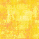 Dry Brush Sunshine