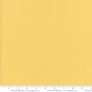 Bella Solids Afternoon Yardage