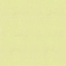 Bella Solids Celery Fabric