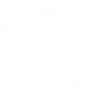 Bella Solids Off White Yardage