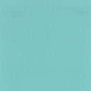 Bella Solids Spray Yardage