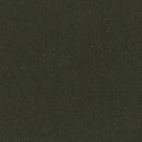 Bella Solids Washed Black Yardage