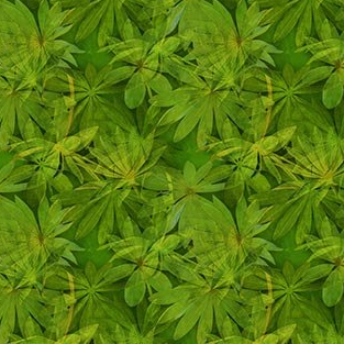 Passion Tropical Leaves Green Yardage