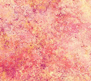 Stonehenge Gradations Mixers Hibiscus Yardage