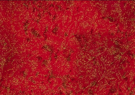 Fairy Frost Holliday Red Yardage