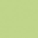 Confetti Cottons Spring Green Yardage