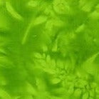 Green Leafy Batik Textiles 0611 Green