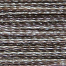Isacord Variegated 1000m Mochalatte Thread