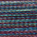 Isacord Variegated 1000m Summer Berries Thread