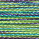 Isacord Variegated 1000m Emerald City Thread
