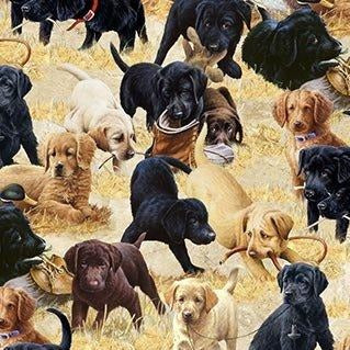 Northcott Puppies for Sale by Jim Killen DP24253 12 Puppies at Play