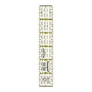 Omnigrid 1" x 6" Ruler