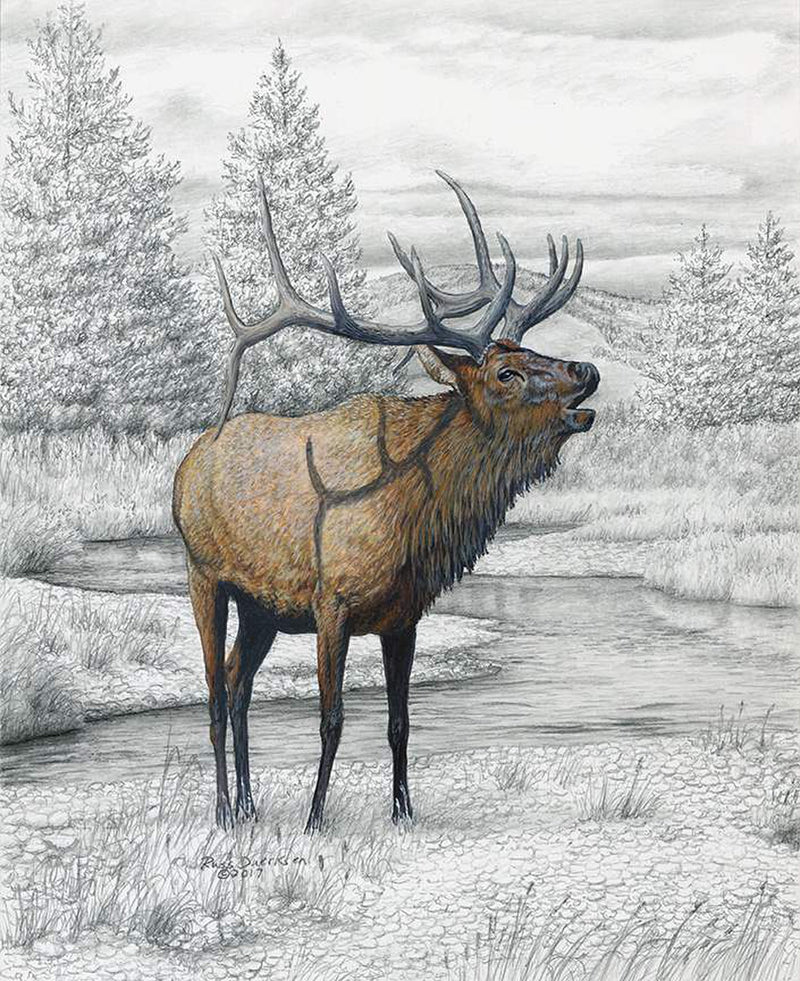 Big Game Elk Pencil Painting Panel