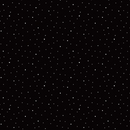 Dapple Dot Black Yardage