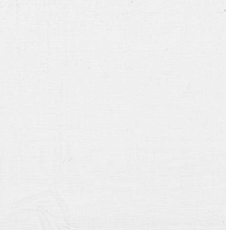Michael Miller Cotton Couture Moon Gray