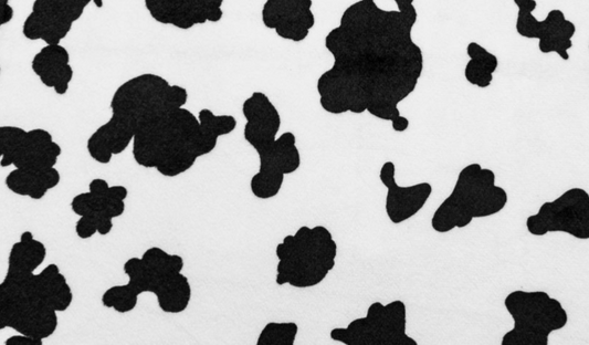Cow Cuddle Black/White Yardage