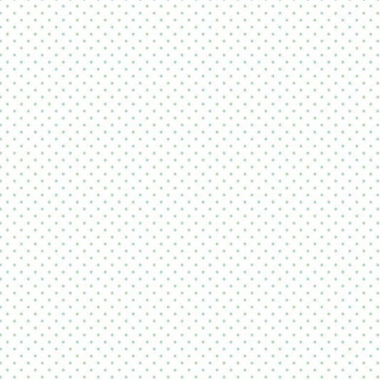 Swiss Dot Mint Fabric