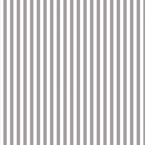 1/4" Stripes Gray Yardage