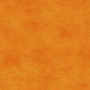 Shadow Play Persimmon Orange Yardage