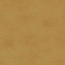 Shadow Play Light Gold Yardage