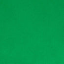 Solid Cuddle C3 Kelly Green Yardage